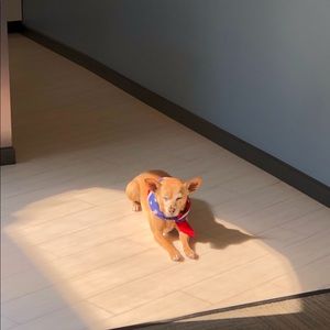 Meet your Posher, Melissa